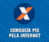 Consulta PIS pela Internet